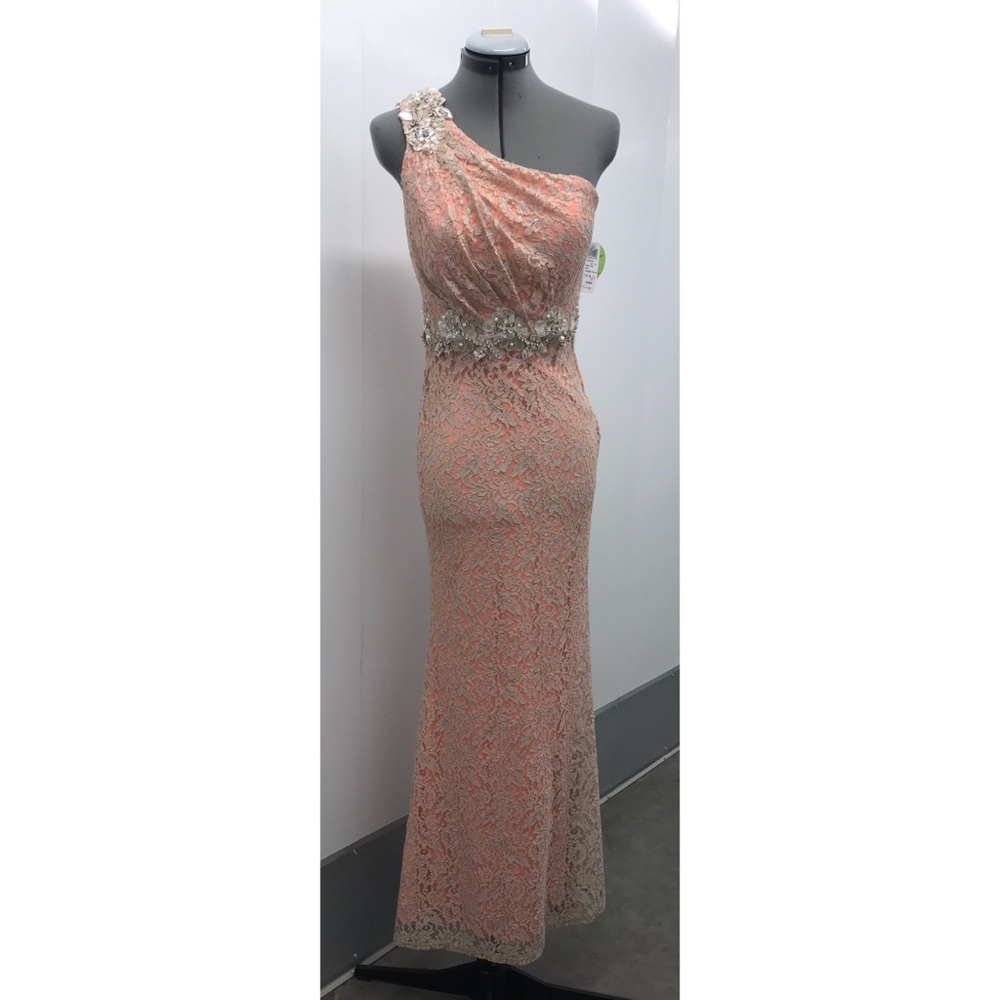 New Windsor pink tan floral lace embellished dress